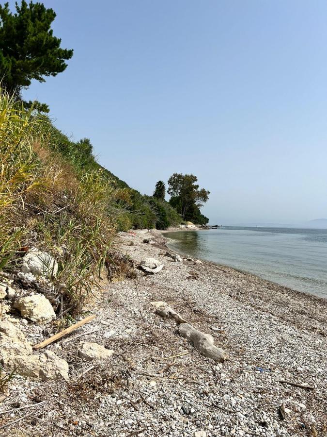 Lithino Apartments - 5Min From The Beach Agios Ioannis Peristerion Eksteriør bilde
