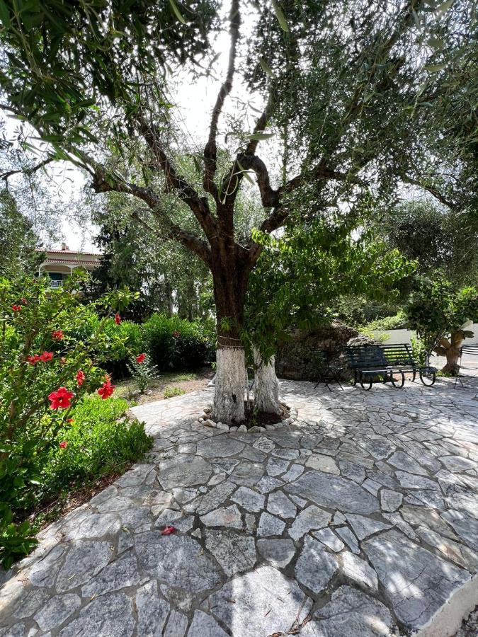 Lithino Apartments - 5Min From The Beach Agios Ioannis Peristerion Eksteriør bilde